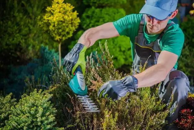 landscaping services Amanda